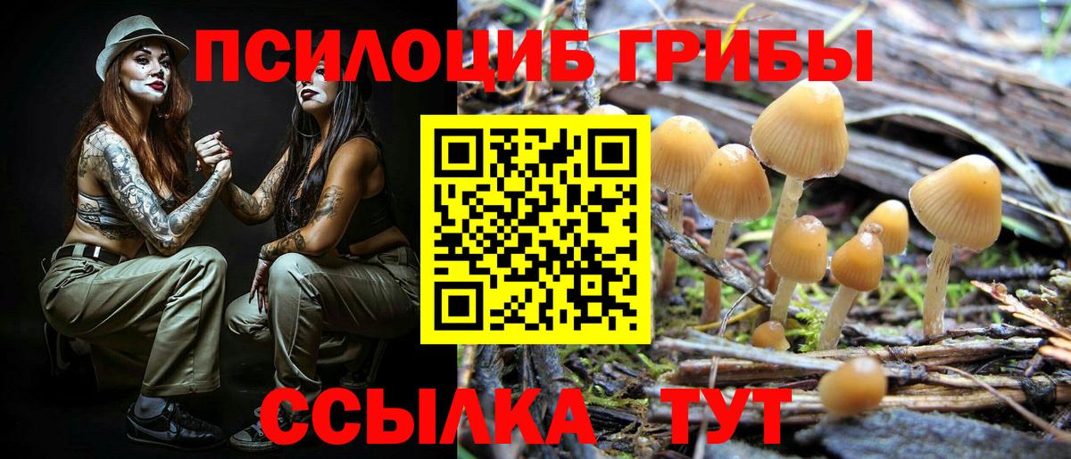 Галлюциногенные грибы мицелий  Вход с VPN  Феодосия 